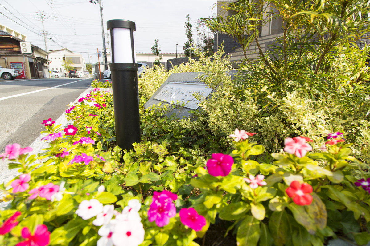 アルファスマート 古三津